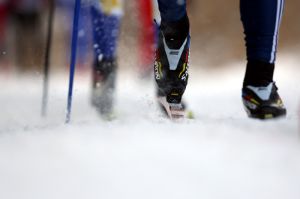 Coupe des marathons FIS 2012 / 2013 - Le calendrier