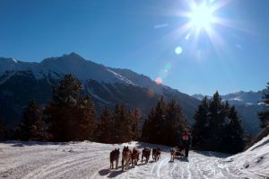 Le Tchèque Jiri Vondrak remporte La Grande Odyssée