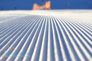 Projet de loi de finances pour 2025 - Moins d'argent pour le sport